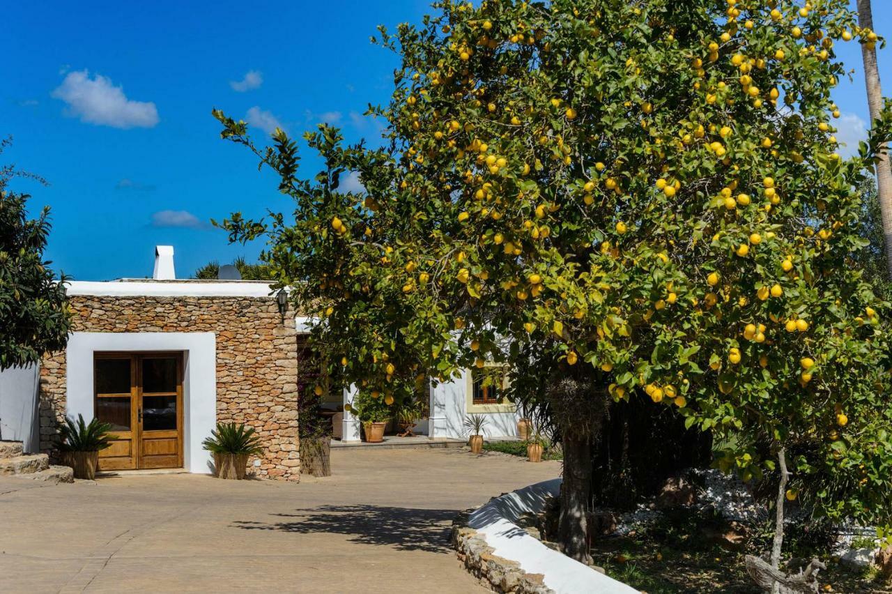 Villa Can Fita Puig D'en Valls Εξωτερικό φωτογραφία